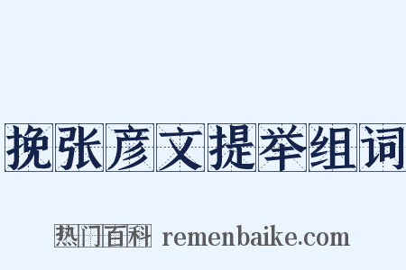 挽张彦文提举组词是什么意思的图片